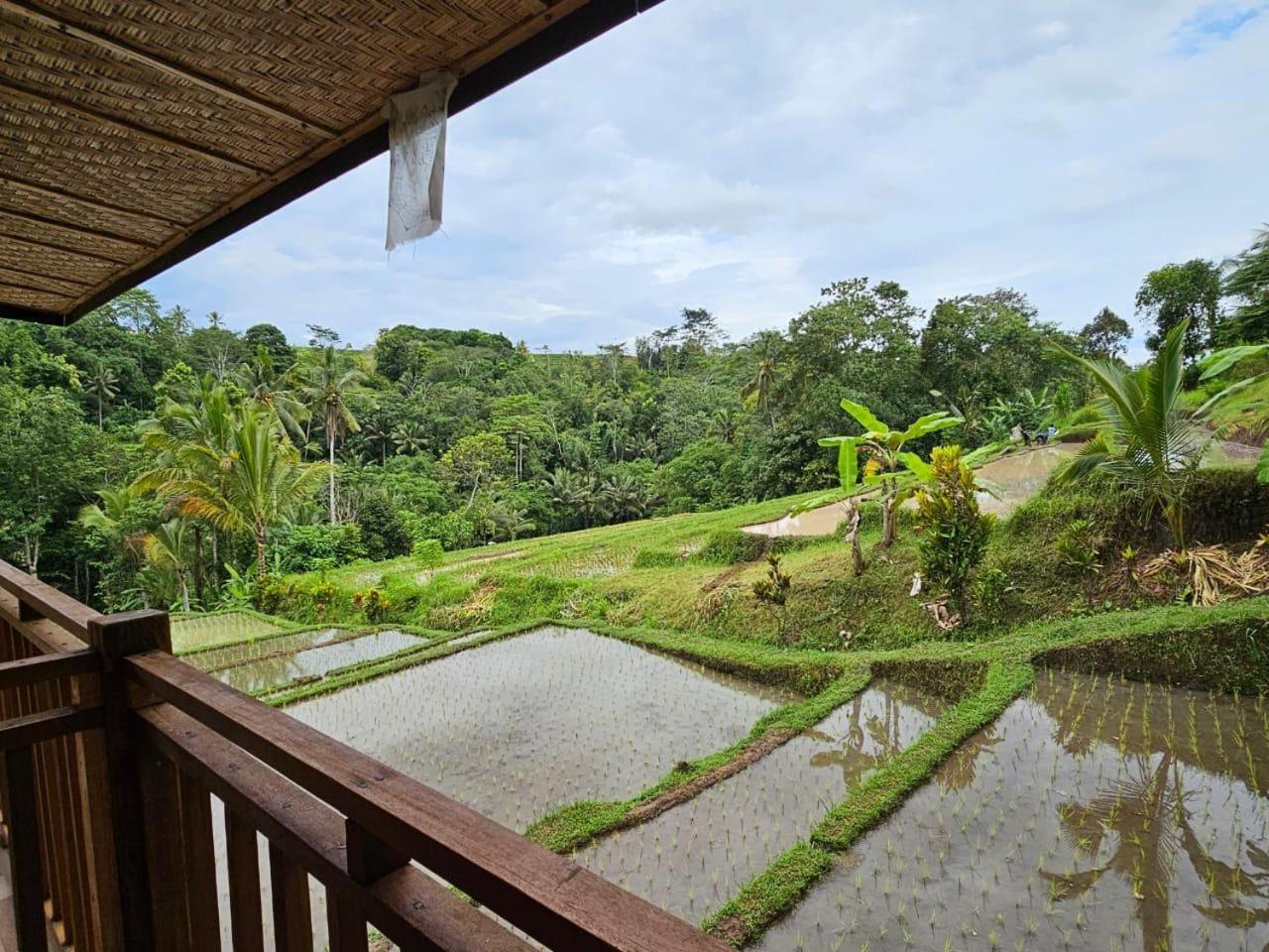 Umauthu Bali Villa ตาบานัน ภายนอก รูปภาพ